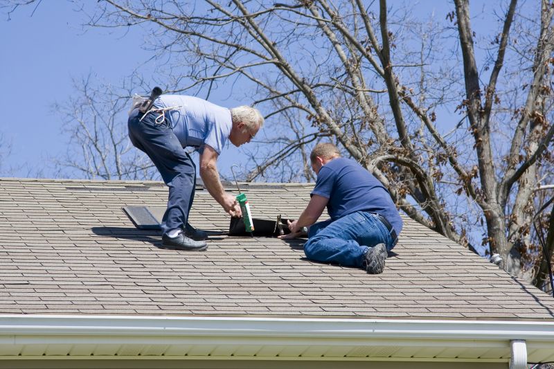 Specialized Roof Repair Experts